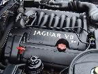image/_jaguar-117.jpg