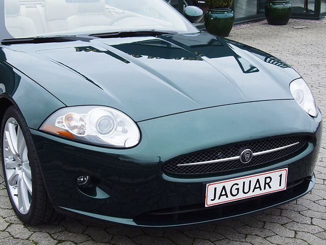 image/jaguar-082.jpg