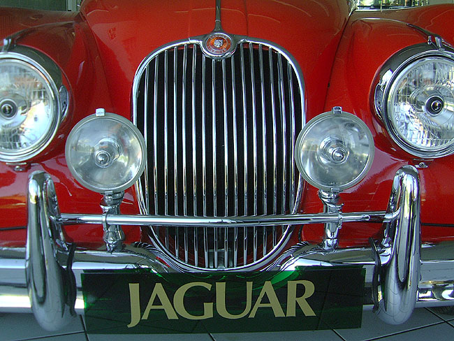 image/jaguar-76.jpg