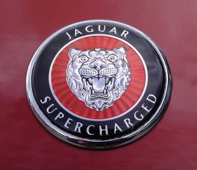 image/jaguar-sport-02.jpg