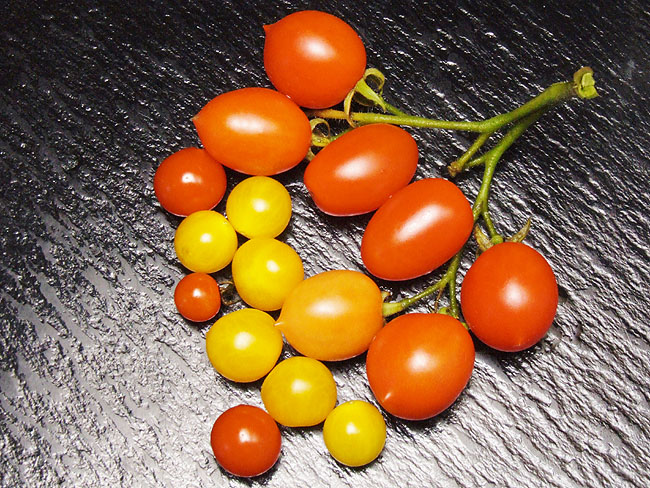 image/tomater-30.jpg