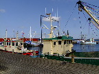 image/_glyngoere_fiskerihavn-061.jpg