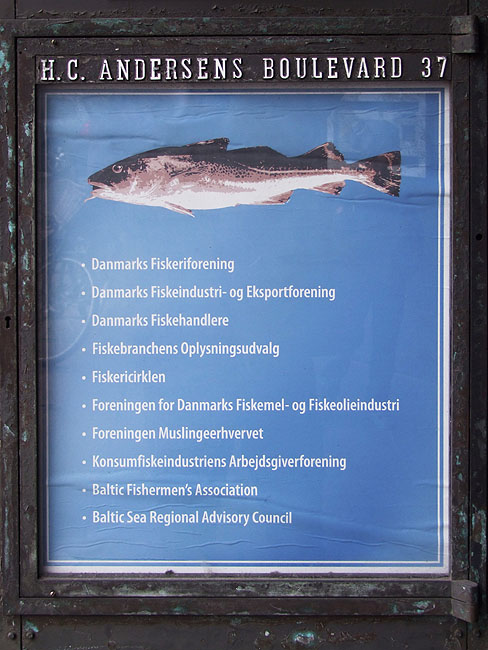 image/fiskeriforeningen-235.jpg