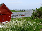 image/_roskilde_fjord-643.jpg