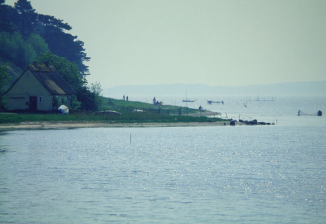 image/fjorden-88.jpg