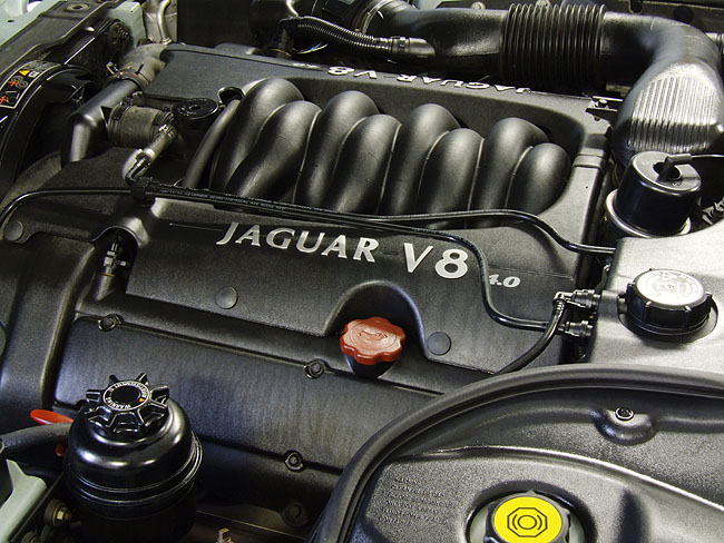 image/jaguar-075.jpg