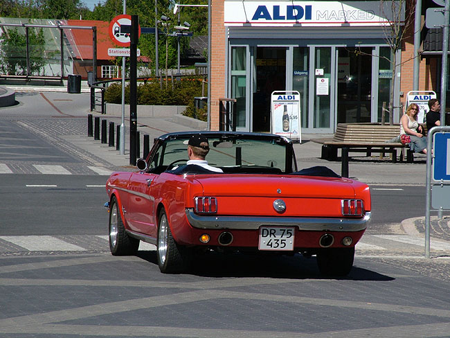 image/mustang-45.jpg