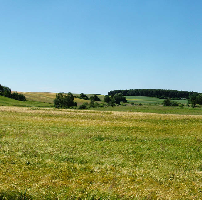 Panorama - Udsigt fra Klokkekildevej mod Slagslunde skov