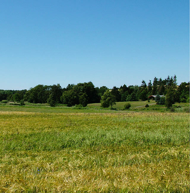 Panorama - Udsigt fra Klokkekildevej mod Slagslunde skov