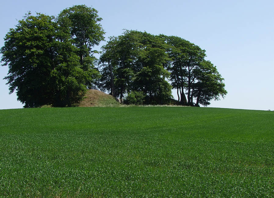 Panorama - Sakshøje ved Rye, de lokale kalder dem Svend, Knud og Valdemar