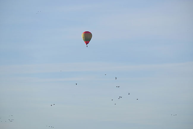 image/varmluftballon-5051.jpg