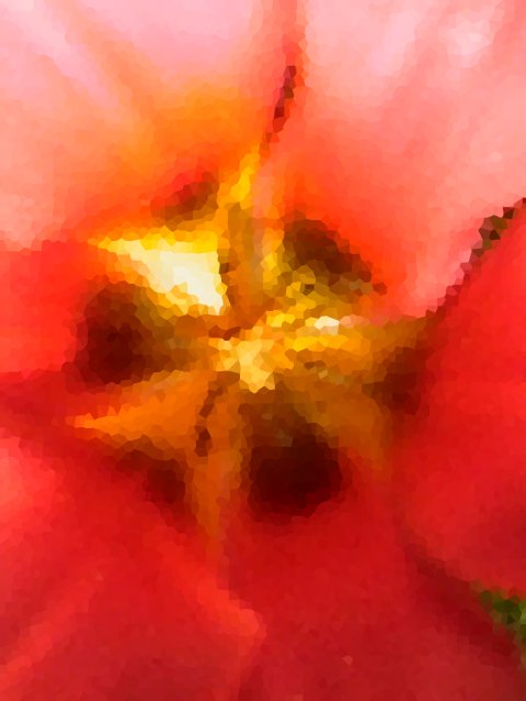 image/blomst-22.jpg