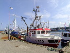 image/_glyngoere_fiskerihavn-059.jpg