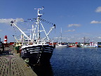 image/_glyngoere_fiskerihavn-084.jpg