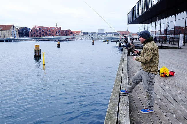 image/lystfiskeri_i_havnen-5583.jpg