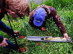 image/_streetfishing_2015-7847.jpg