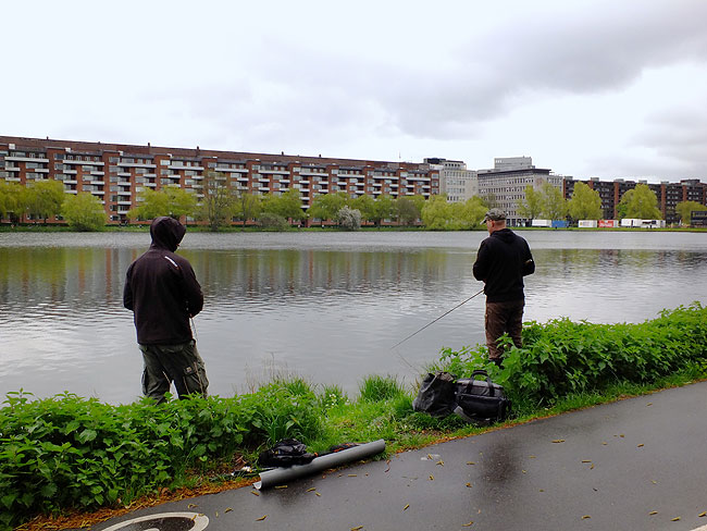 image/streetfishing_2015-7835.jpg