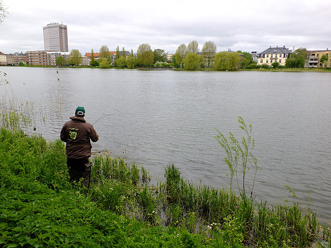 image/streetfishing_2015-7949.jpg