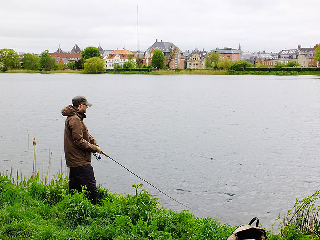 image/streetfishing_2015-8007.jpg