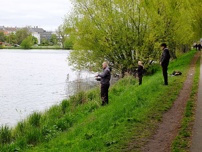 image/streetfishing_2015-8021.jpg