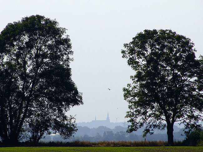 image/roskilde_domkirke-109.jpg