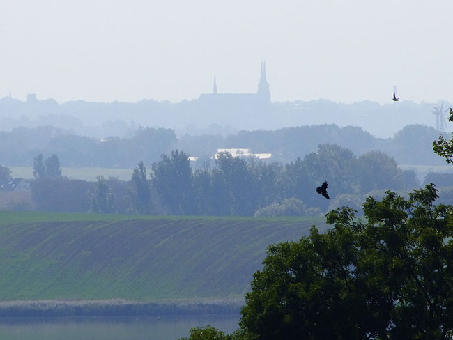 image/roskilde_domkirke-111.jpg