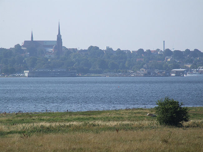 image/roskilde_domkirke-114.jpg