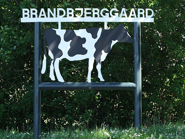 image/brandbjerggaard-003.jpg