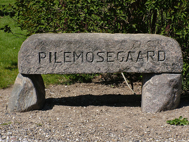image/pilemosegaard-09.jpg