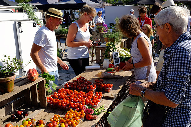 image/torvedag_roskilde-3731.jpg