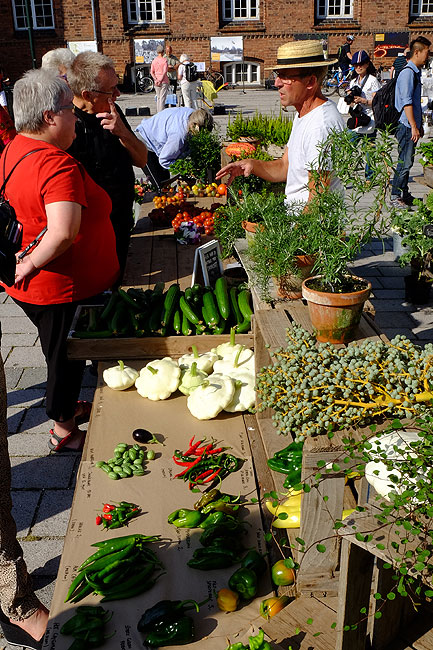 image/torvedag_roskilde-3757.jpg