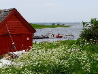 image/_roskilde_fjord-642.jpg