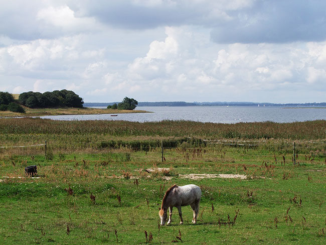 image/roskilde_fjord-133.jpg