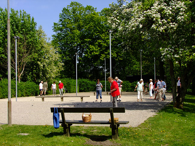 image/petanque-466.jpg