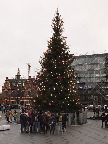 image/_kbh_juletrae-530.jpg