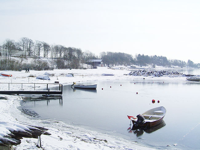 image/vinter_roskilde_fjord-19.jpg