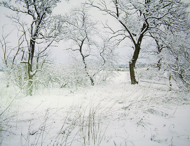 image/landskab-vinter-71.jpg
