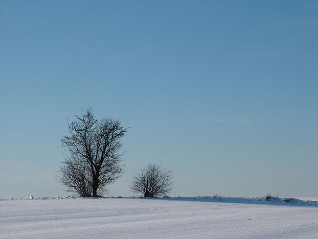 image/landskab_vinter-54.jpg