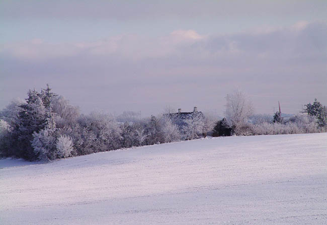 image/landskab_vinter-61.jpg
