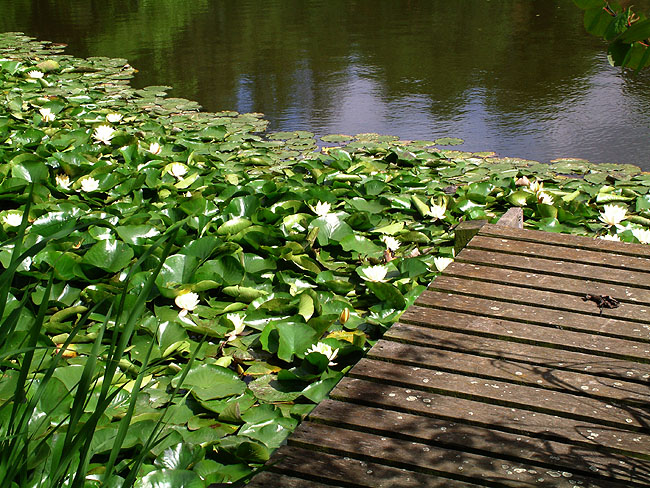 image/botanisk_have-038.jpg