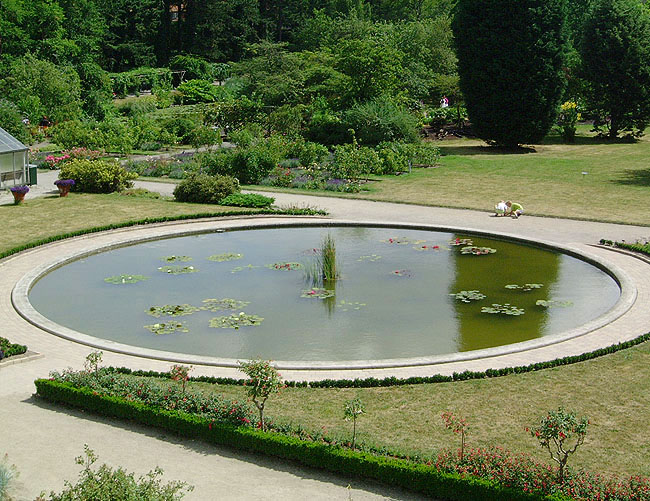 image/botanisk_have-066.jpg