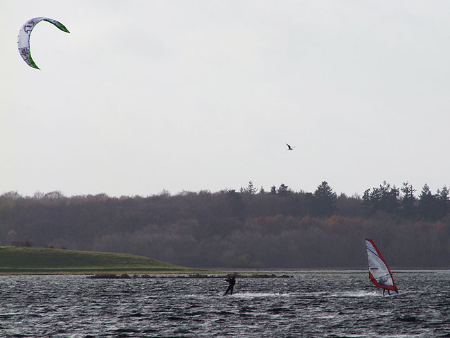image/kite_og_windsurfer-855.jpg