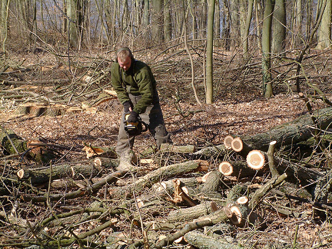 image/skovarbejder-07.jpg