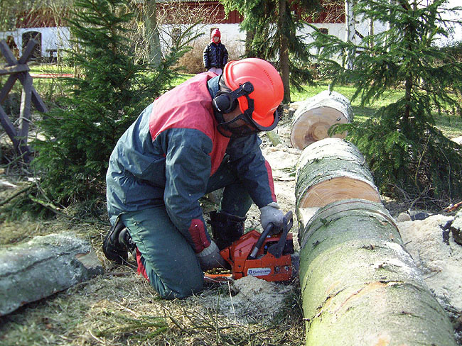 image/skovarbejder-14.jpg