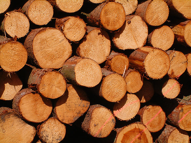 image/toemmer-78.jpg
